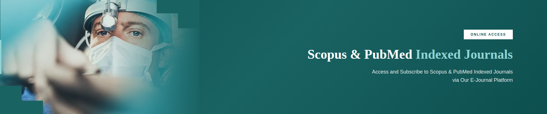 E-Journals Banner 3